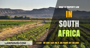Understanding South Africa's Property Law: Rights, Regulations, and Ownership Explained