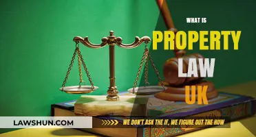 Understanding Property Law in the UK: A Guide