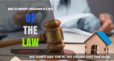 Understanding Property Possession: The Power of the 9/10ths Legal Principle