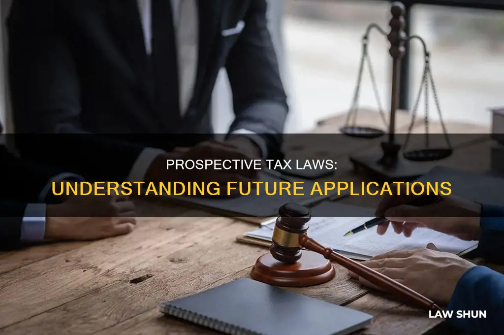 what is prospective application of tax laws