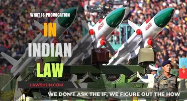 Provocation Law: Understanding India's Self-Defense Clause