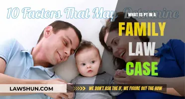 Understanding PT in Family Law Cases
