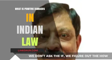 Understanding Punitive Damages in Indian Law