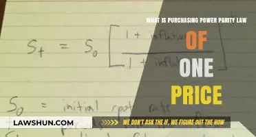 Understanding Purchasing Power Parity and the Law of One Price