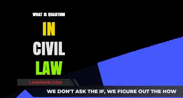 Understanding Quantum in Civil Law: Key Concepts and Applications