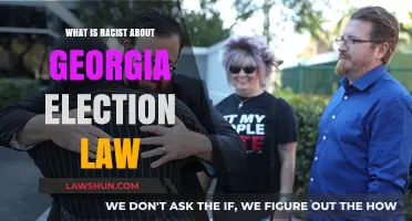 Georgia's Election Law: Uncovering Hidden Racist Provisions and Impact