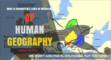 Understanding Ravenstein's Migration Laws in AP Human Geography