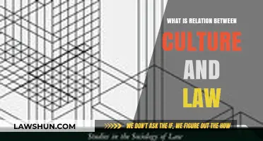 Culture and Law: Exploring Their Interconnected Influence on Society