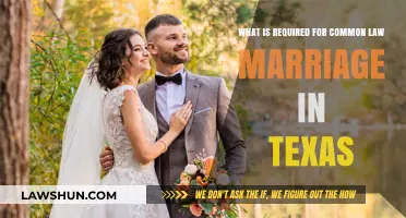 Understanding Texas Common Law Marriage Requirements