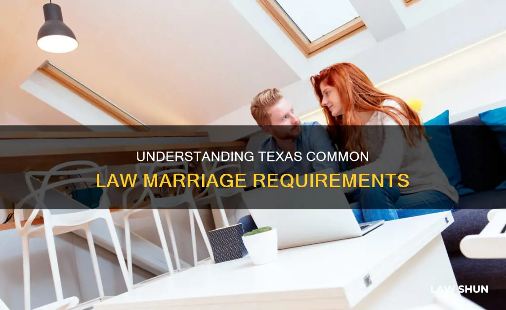 what is required for common law marriage in texas