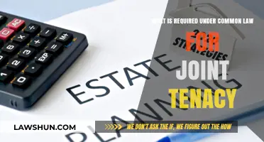 Understanding Joint Tenancy: Common Law Requirements