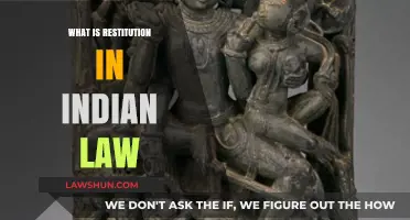Restitution in Indian Law: Understanding the Basics