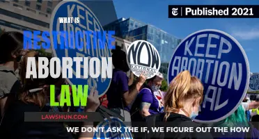 Restrictive Abortion Laws: Understanding Their Impact and Implications