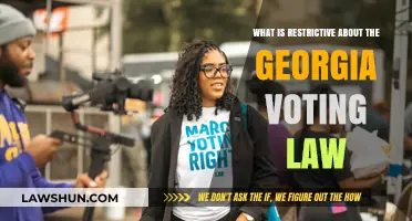 Georgia's Voting Law: Unpacking Its Restrictive Measures and Impact