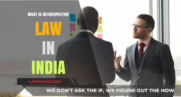 Understanding Retrospective Law in India