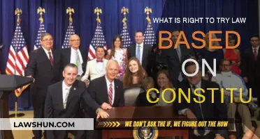 Right to Try: Constitutional Right or Risk?