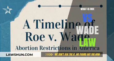 Understanding Roe vs. Wade: A Landmark Decision on Reproductive Rights