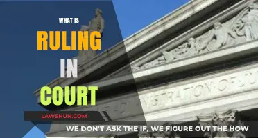 Understanding Court Rulings: A Comprehensive Guide to Judicial Decisions