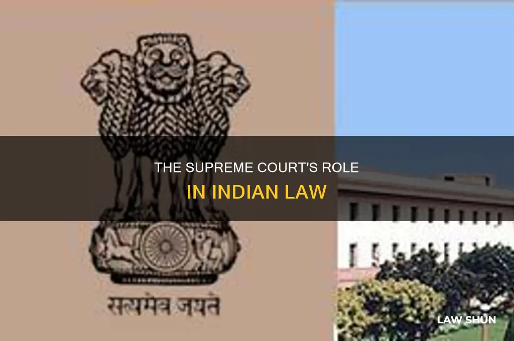what is scc in indian law