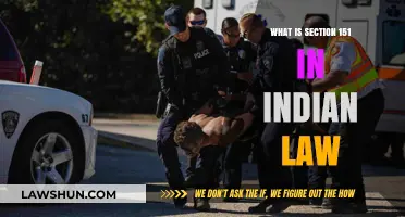 Understanding Indian Law: Section 151 and its Powers