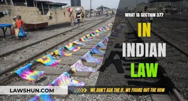 India's Anti-LGBTQ Law: Understanding Section 377