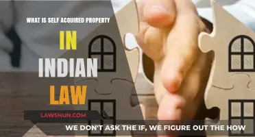 Understanding Self-Acquired Property in Indian Law
