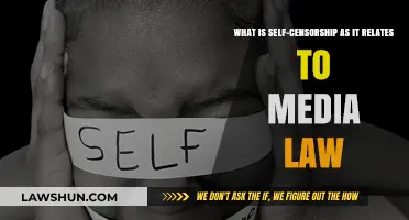 Understanding Self-Censorship: Its Impact on Media Law and Free Speech
