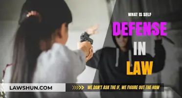 Understanding Self-Defense: Legal Principles and Real-World Applications
