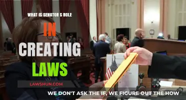 How Senators Shape Laws