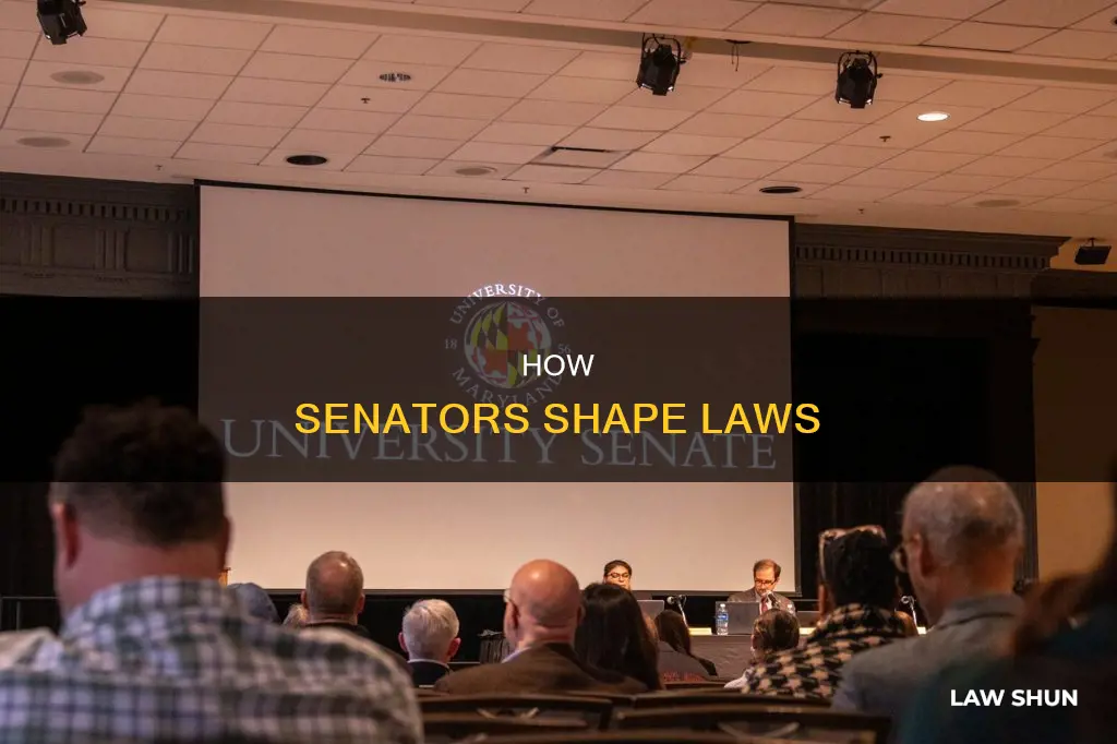 what is senator s role in creating laws