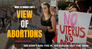 Sharia Law's Complex Stance on Abortions Explained