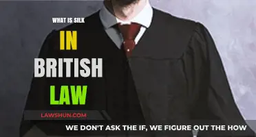 Understanding Silk in British Law: A Comprehensive Guide