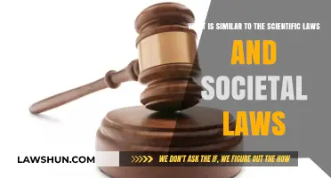 Scientific Laws vs. Societal Laws: Parallels in Order and Governance
