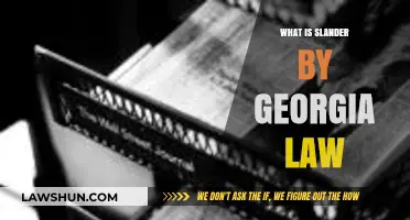 Understanding Slander Under Georgia Law: Definitions, Penalties, and Legal Remedies