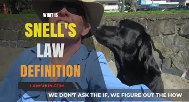 Understanding Snell's Law: Definition, Formula, and Practical Applications