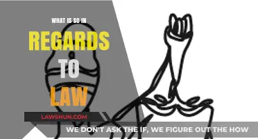 Understanding the Core Principles and Relevance of Law in Society