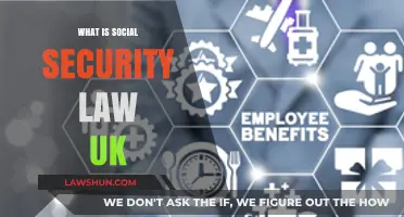 Social Security Law: Understanding Your UK Benefits