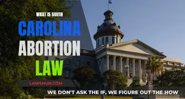 South Carolina Abortion Law: Understanding the Complexities