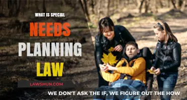 Understanding Special Needs Planning Law: Protecting Your Loved One's Future