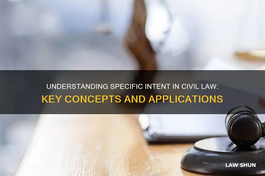 what is specific intent in civil law
