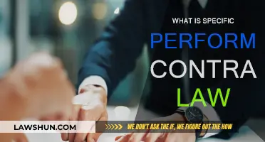Performance Contracts: Enforcing Promises in Court