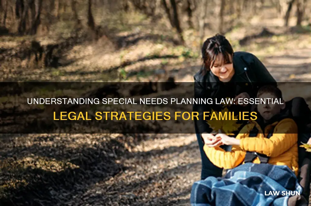what is spexial needs planning law