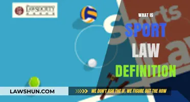 Understanding Sport Law: Definition, Scope, and Key Principles Explained