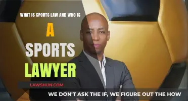 Understanding Sports Law: Role and Responsibilities of a Sports Lawyer