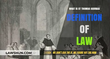Understanding St. Thomas Aquinas' Definition of Law: A Philosophical Insight