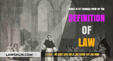 St. Thomas Aquinas' Perspective on the Definition of Law