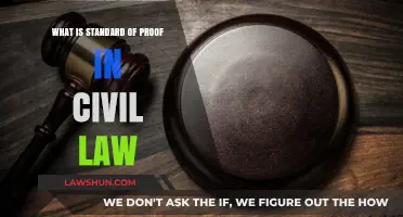 Understanding the Standard of Proof in Civil Law Cases