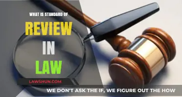 Understanding Legal Standards of Review: A Comprehensive Guide for Lawyers