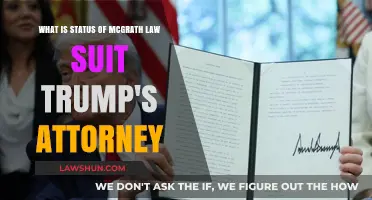 Trump Attorney's McGrath Lawsuit: Current Status and Legal Implications
