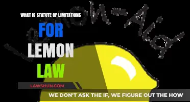 Understanding Lemon Law Statute of Limitations: What You Need to Know